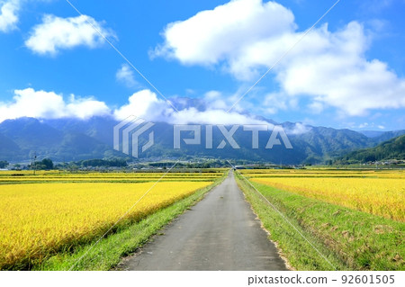 秋天的鹽田平原和獨光山 92601505