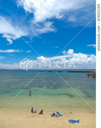 Sakimotobu Gorilla Chop 92602269