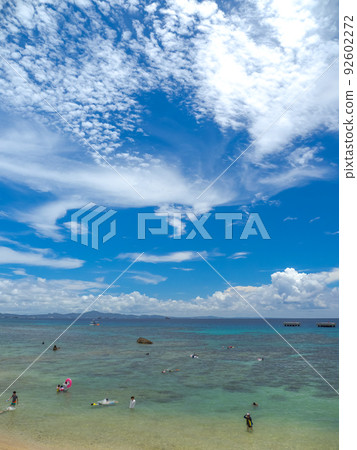 崎本部大猩猩排 92602272