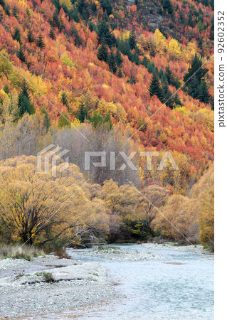 Autumn in south island newzealand 92602352