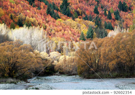 Autumn in south island newzealand Autumn in south island newzealand 92602354
