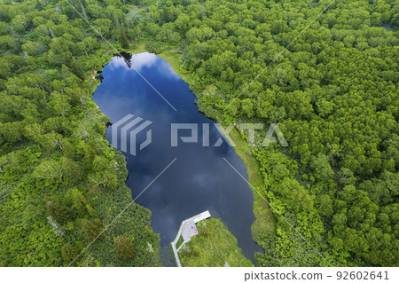 Aerial view of Niseko Shinsennuma 92602641