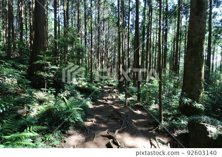 Mountain trails and special rocks on Mt. Tsukuba in Ibaraki Prefecture 92603140