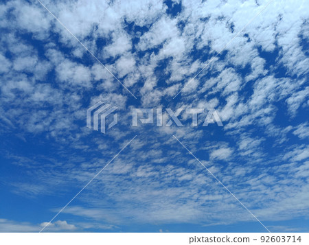 blue sky and gradient cloud background. Beauty cloudy in sunshine. summer weather blue sky and gradient cloud background. Beauty cloudy in sunshine. summer weather 92603714