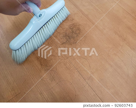 Hand holding a broom to clean the hair on the wooden floor. 92603743