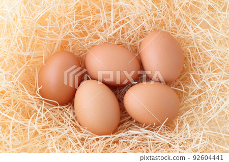 平餵雞蛋 平餵雞蛋 92604441