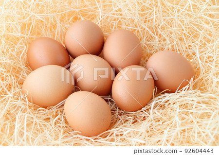 平餵雞蛋 平餵雞蛋 92604443