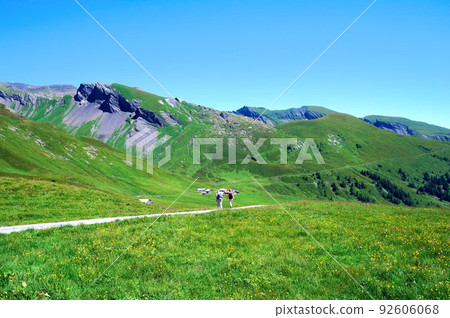 First 和 Grosse Scheidegg 之間的遠足徑 92606068