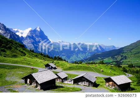 Grosse Scheidegg Pass and Cheese Hut [Grindelwald] 92606073