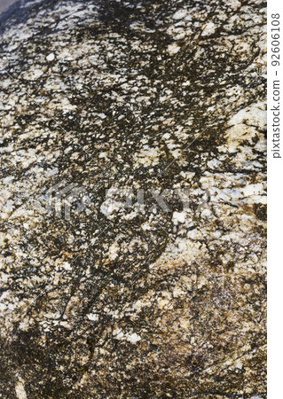 Gray granite with black and white inclusions. Granite background texture, top view. 92606108