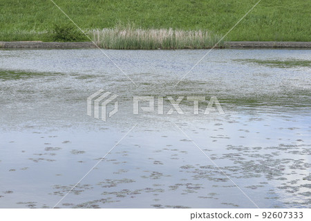 Shin-Yokohama Park Shin-Yokohama Park 92607333