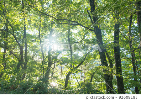 Solar power on the roof of the car Solar power on the roof of the car 92609183