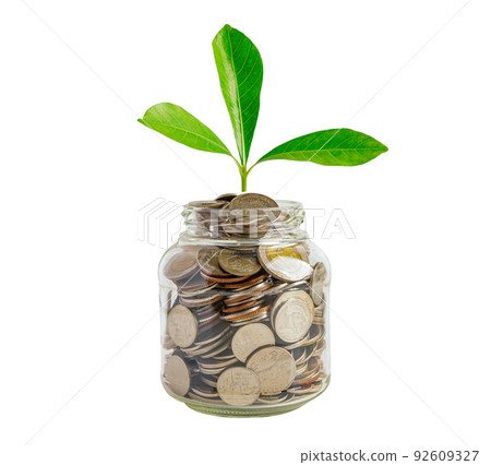 Green leaf plant on save money coins, Business finance saving banking investment concept. 92609327