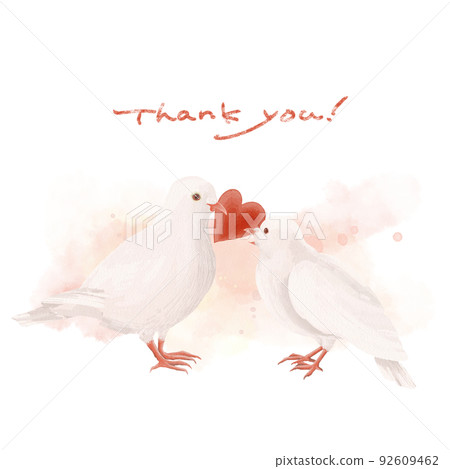 一隻白鴿將心傳遞給白鴿的插圖 一隻白鴿將心傳遞給白鴿的插圖 92609462