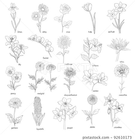 Set of flowers hand drawn 92610173