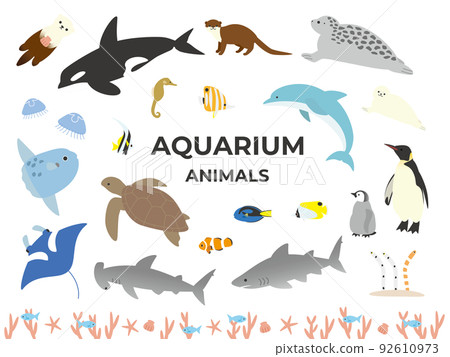 水族材料套裝 92610973