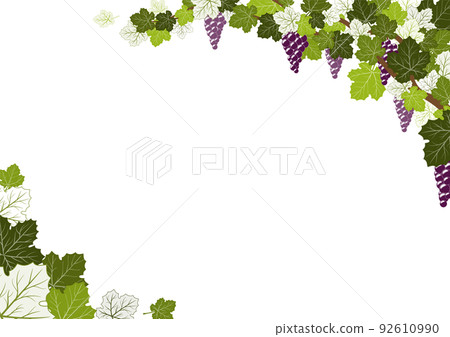 葡萄架A4尺寸 92610990