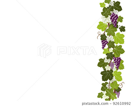 Grape line seamless 92610992