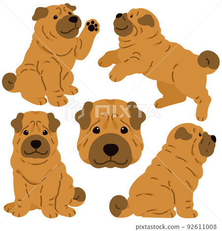 Simple and cute Shar Pei illustration set without main line 92611008