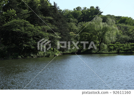 Tsurumi Kanagawa Prefectural Mitsuike Park 92611160