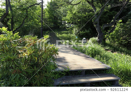 鶴見神奈川縣立三池公園 鶴見神奈川縣立三池公園 92611224