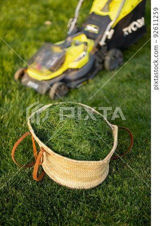 Mowed grass in a straw basket 92611259