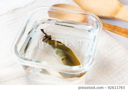 Watered kelp 92611763