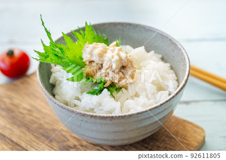 金槍魚蛋黃醬飯 92611805