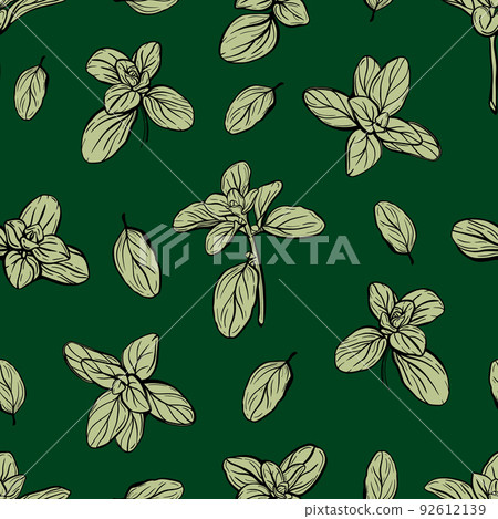 Basil Seamless Pattern. Italian herbs. Marjoram pattern. 92612139
