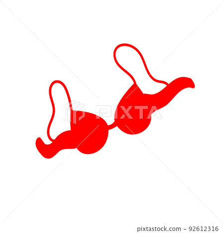Bra on a white background. Vector illustration 92612316