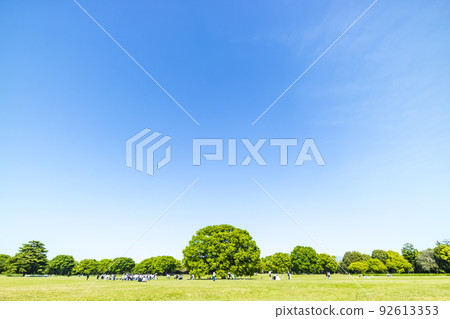 與綠色和藍天的風景 92613353