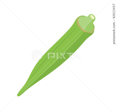 蔬菜插圖秋葵 92613457