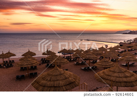 Sunset at the beach with palm trees, parasols and sunbeds. Family Holidays at Sea. Red Sea, Egypt. 92614601