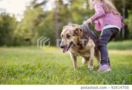 Child walking with a dog in nature 92614708