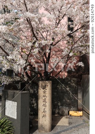 澀谷道玄坂 92614749