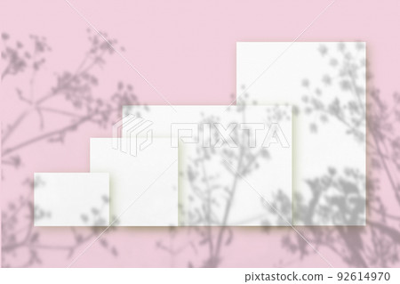 Natural light casts shadows from wildflowers of horizontal and vertical sheets of white textured paper against a pink wall background. Mock up with an overlay of plant shadows Natural light casts shadows from wildflowers of horizontal and vertical sheets of white textured paper against a pink wall background. Mock up with an overlay of plant shadows 92614970