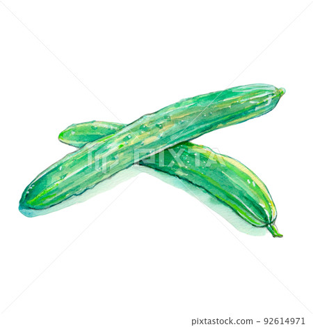 黃瓜 黃瓜 92614971