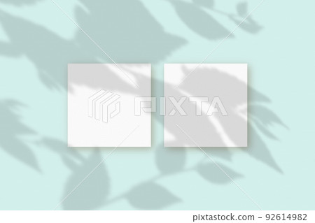 Natural light casts shadows from the plant on 2 square sheets of white textured paper lying on a blue textured background. Mockup 92614982