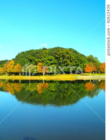 1 世紀的森林和帶秋池的方形景觀 92615439