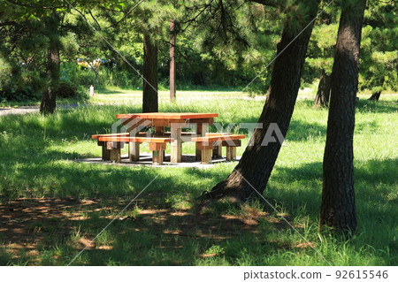 公園長椅和桌子 公園長椅和桌子 92615546