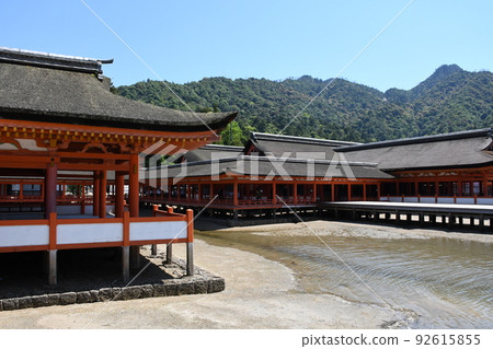 Aki's Miyajima Itsukushima Shrine at low tide Hatsukaichi City, Hiroshima Prefecture Aki's Miyajima Itsukushima Shrine at low tide Hatsukaichi City, Hiroshima Prefecture 92615855