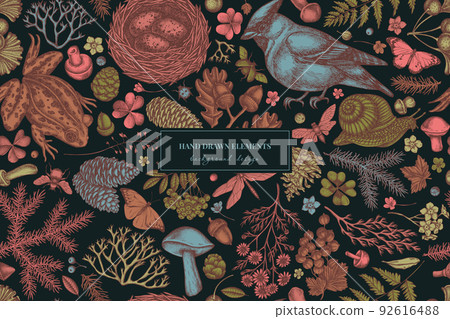 Mysterious forest seamless pattern background design. Engraved style. Hand drawn waxwing, snail, nest, pool frog, moss, spruce branch, pine cones, chamomile, insect, aspen mushroom, red currant, oak 92616488
