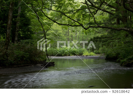 Early summer Oirase Gorge, early morning (Towada City, Aomori Prefecture) Early summer Oirase Gorge, early morning (Towada City, Aomori Prefecture) 92618642