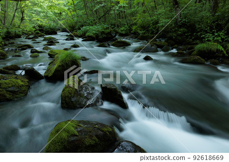 Early summer Oirase Gorge, early morning (Towada City, Aomori Prefecture) 92618669
