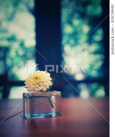 在窗台上的單花 92619640