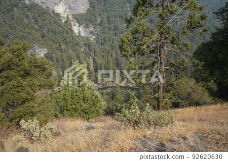Yosemite National Park Views from a Tunnel View 92620630