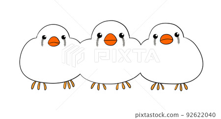 斑胸草雀栗子弗蘭克白 92622040