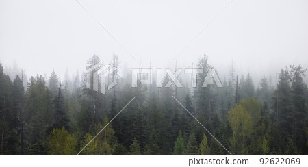 Green Trees in Foggy and Misty Rain Forest. Mullan Road Historical Park, Idaho Green Trees in Foggy and Misty Rain Forest. Mullan Road Historical Park, Idaho 92622069