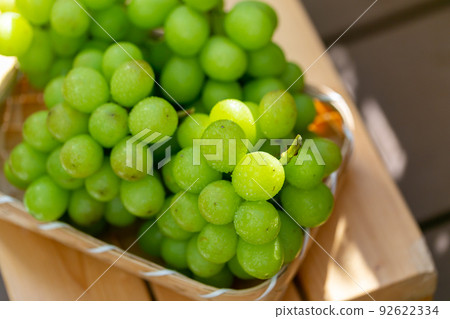 Shine Muscat grapes 92622334