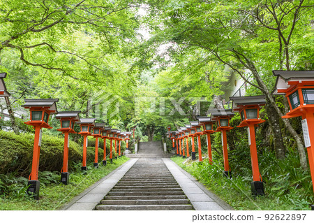 Ao Momiji and Kurama Temple in early summer Ao Momiji and Kurama Temple in early summer 92622897